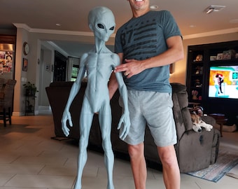 Può includere: Una statuetta aliena a grandezza naturale di colore grigio chiaro, caratterizzata da un corpo snello e allungato, una grande testa ovale con occhi scuri a mandorla e arti lunghi e sottili con articolazioni dettagliate.