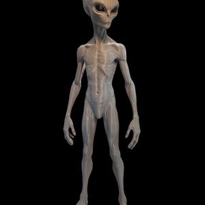 May include: A light gray, smooth-surfaced humanoid figure with an elongated head, large dark almond-shaped eyes, a slender torso, and long limbs. The figure stands in an upright position with visible joint lines on the arms and legs.