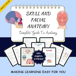 May include: A digital guide titled Skull and Facial Anatomy, Complete Guide To Anatomy, featuring a multi-colored skull diagram and facial muscle illustration. The set includes over 100 pages of educational content, diagrams, and text.