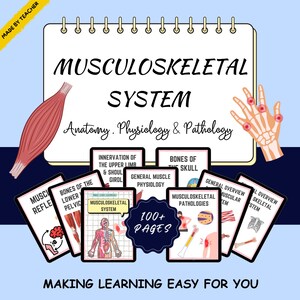 May include: A spiral-bound notebook titled MUSCULOSKELETAL SYSTEM Anatomy, Physiology & Pathology, surrounded by multiple educational cards detailing topics like muscle physiology, bone structure, and pathologies, with a 100+ PAGES badge.