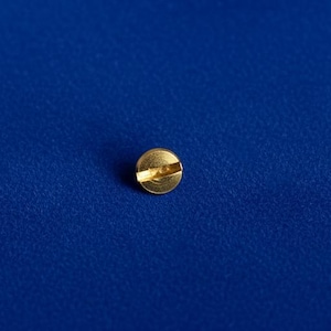 Gold Love Bracelet Replacement Screw – Bangle Repair Part – Luxury Jewelry Hardware image 2