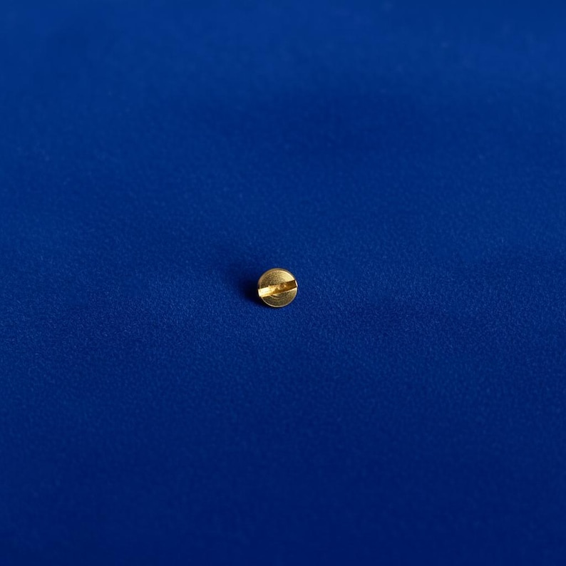 Gold Love Bracelet Replacement Screw – Bangle Repair Part – Luxury Jewelry Hardware image 2