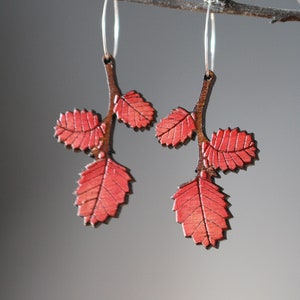 Autumn Leaf Earrings, Red Autumn Leaves, Tasmanian Native Plants, Deciduous Beech, Fagus Earrings, Tasmania image 1