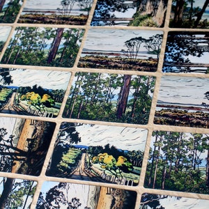 Tasmanian Landscape Postcard Pack, Linocut Card Pack, 6 Different Designs, Australian Landscape Postcards, Art Cards