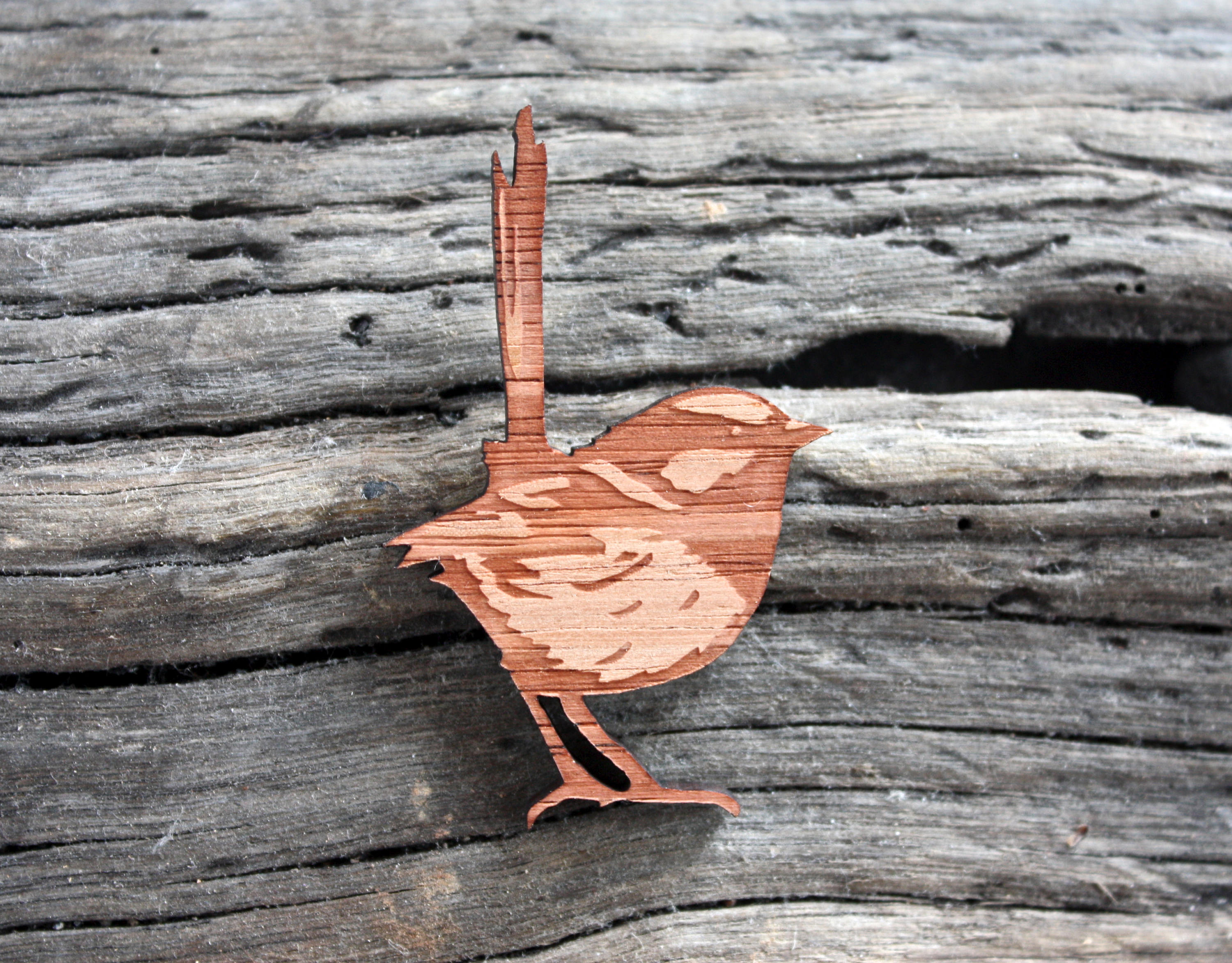 wren brooch