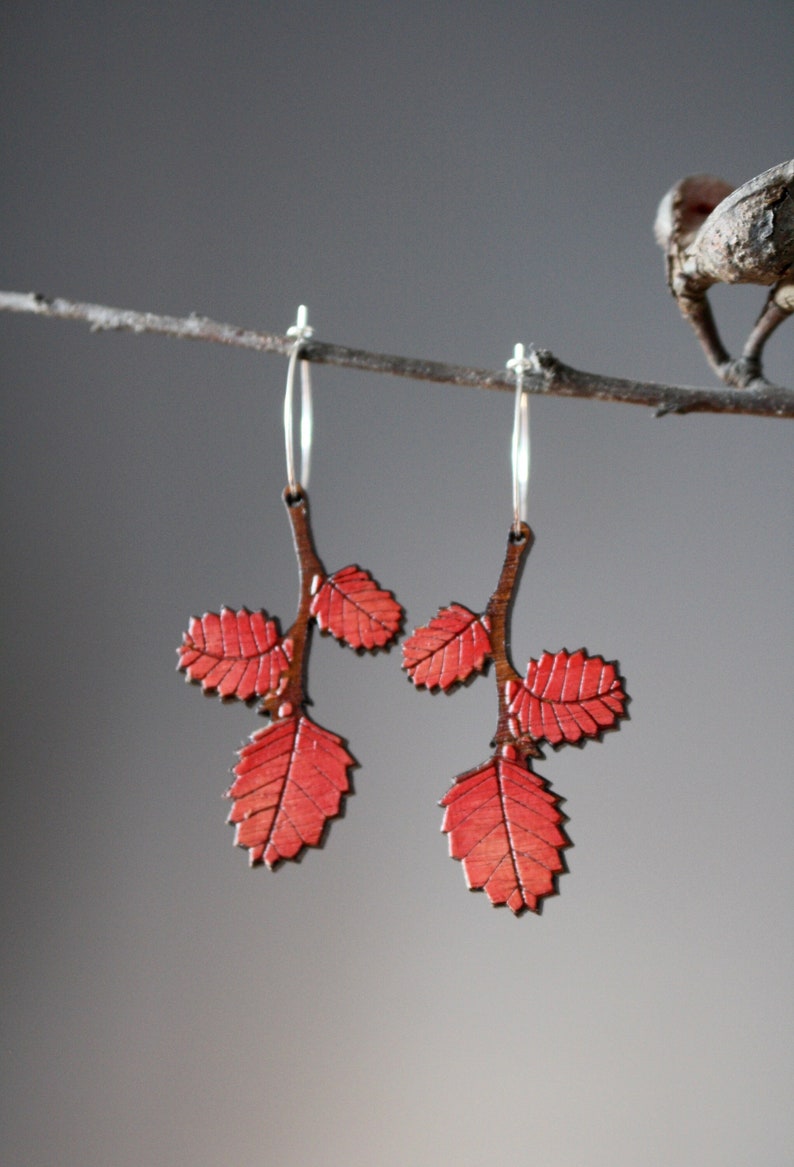 Autumn Leaf Earrings, Red Autumn Leaves, Tasmanian Native Plants, Deciduous Beech, Fagus Earrings, Tasmania image 6