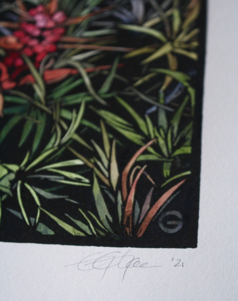 Hand Painted Linocut, Tasmanian Flora Linocut, Original Lino Print, Linocut Print image 6