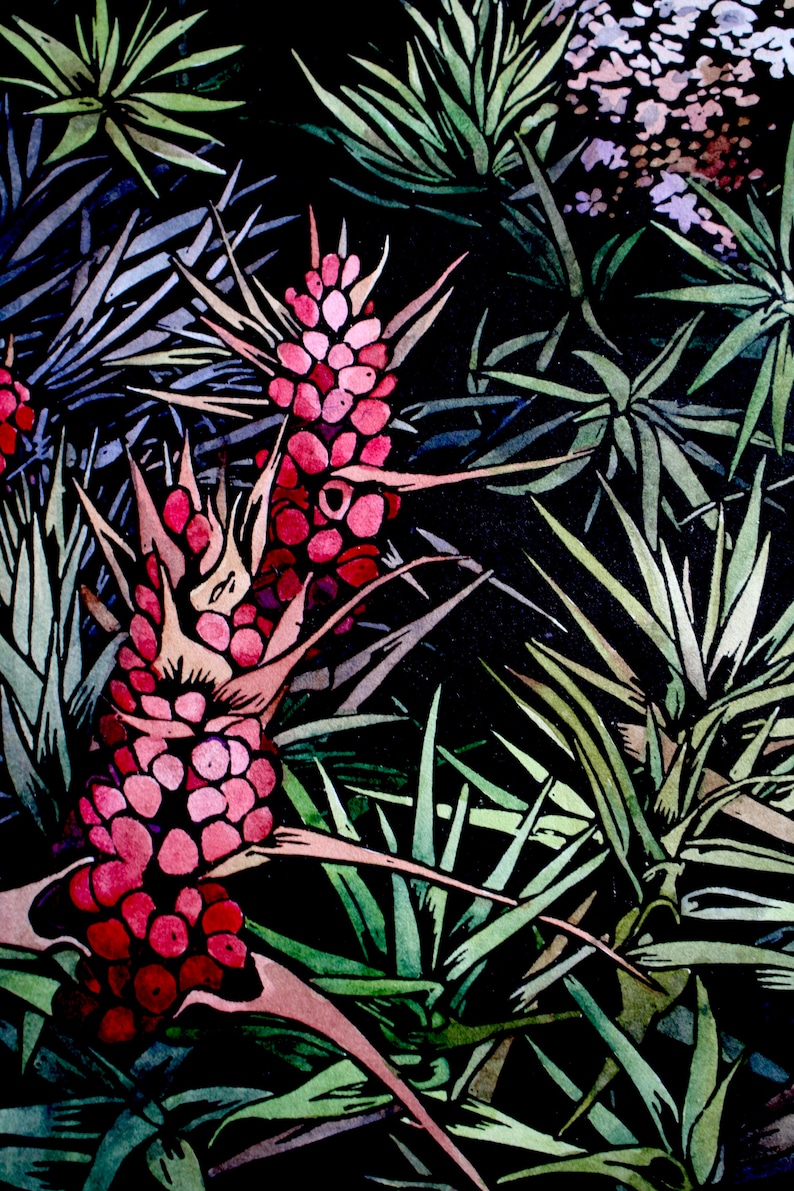 Hand Painted Linocut Tasmanian Flora Linocut Original Lino Etsy