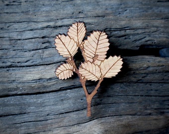 Autumn Leaf Brooch, Tasmanian Brooch, Wooden Brooch, Natural Timber Deciduous Beech Brooch, Natural Timber Fagus Brooch