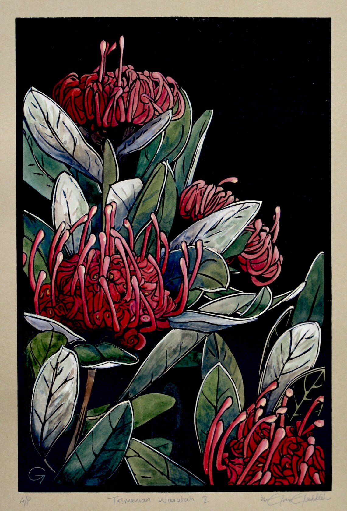 Hand Painted Linocut Tasmanian Waratah Wildflower Lino Etsy