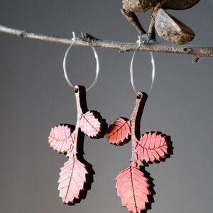 Autumn Leaf Earrings, Red Autumn Leaves, Tasmanian Native Plants, Deciduous Beech, Fagus Earrings, Tasmania image 3