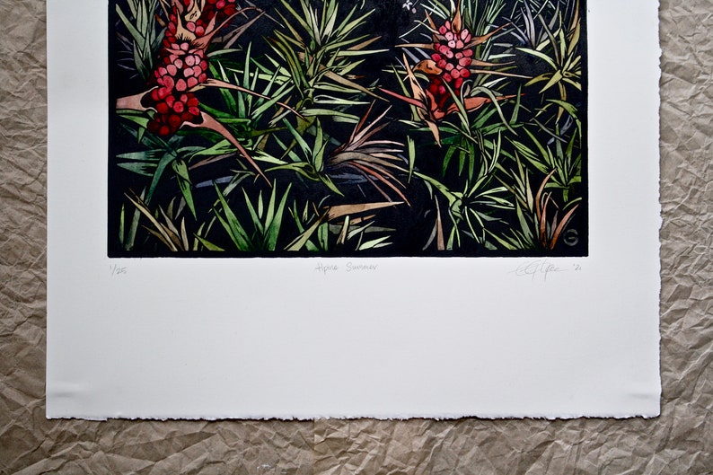 Hand Painted Linocut Tasmanian Flora Linocut Original Lino Etsy