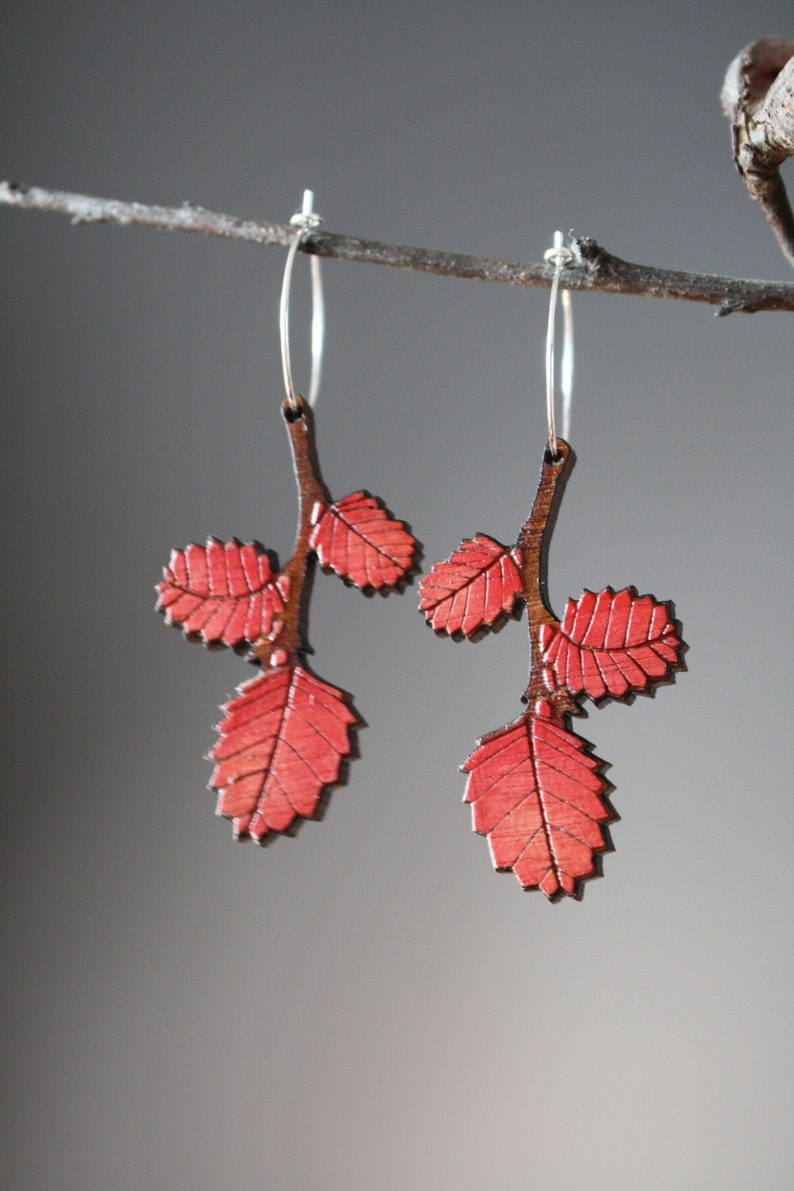 Autumn Leaf Earrings, Red Autumn Leaves, Tasmanian Native Plants, Deciduous Beech, Fagus Earrings, Tasmania image 1