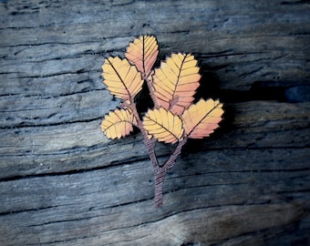 Autumn Leaf Brooch, Tasmanian Brooch, Wooden Brooch, Yellow Deciduous Beech Brooch, Orange Fagus Brooch