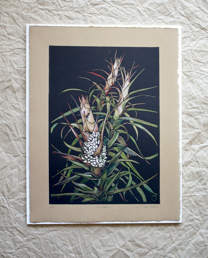 Wildflower Hand Painted Linocut Hand Coloured Lino Print Etsy