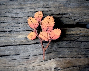 Autumn Leaf Brooch, Tasmanian Brooch, Wooden Brooch, Orange Deciduous Beech Brooch, Orange Fagus Brooch