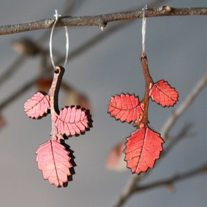 Autumn Leaf Earrings, Red Autumn Leaves, Tasmanian Native Plants, Deciduous Beech, Fagus Earrings, Tasmania image 7