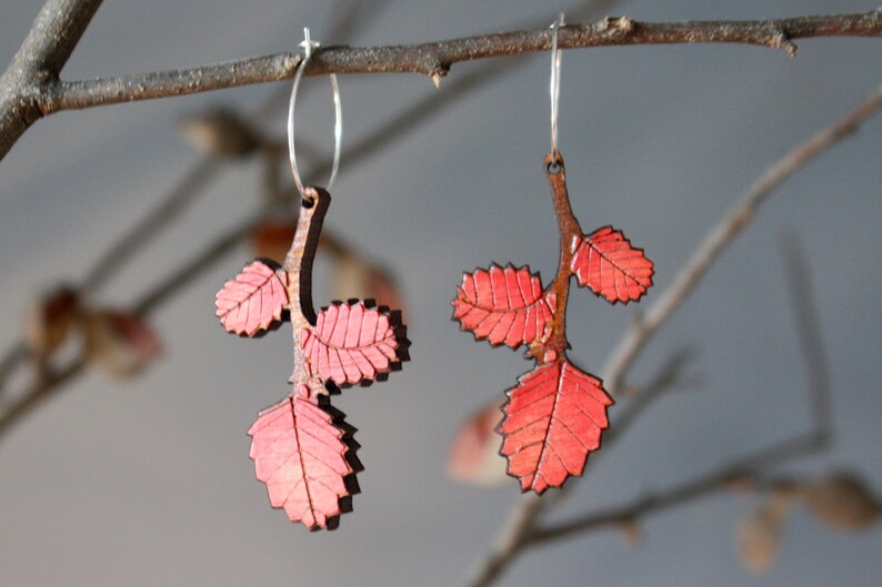 Autumn Leaf Earrings, Red Autumn Leaves, Tasmanian Native Plants, Deciduous Beech, Fagus Earrings, Tasmania image 7