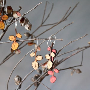 Autumn Leaf Earrings, Red Autumn Leaves, Tasmanian Native Plants, Deciduous Beech, Fagus Earrings, Tasmania image 8