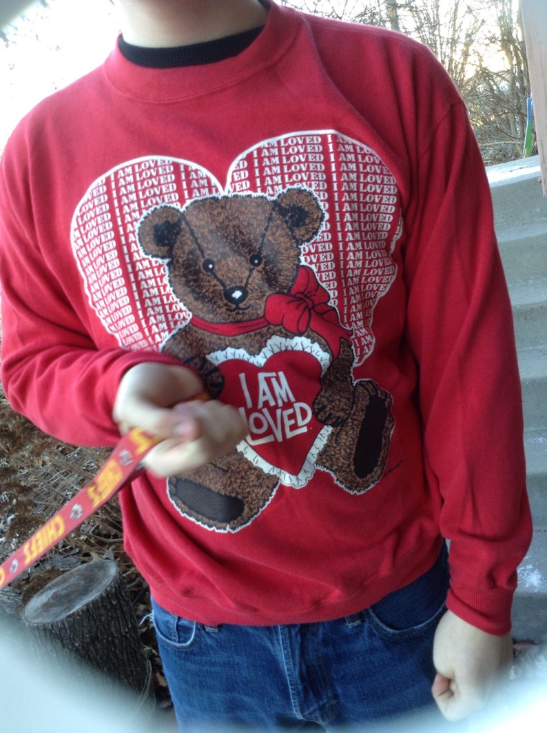 i am loved teddy bear
