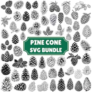 Puede incluir: Una colección de ilustraciones en blanco y negro de varias piñas de diferentes formas y tamaños, dispuestas alrededor de una etiqueta rectangular verde central con el texto blanco PINE CONE SVG BUNDLE.