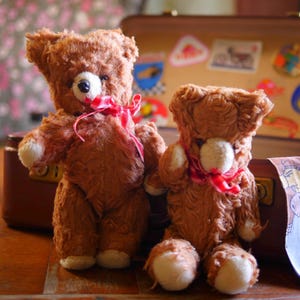 Peut inclure: Deux ours en peluche marron à la fourrure texturée, dotés de museaux crème et de nœuds en ruban rouge autour du cou. Les ours sont placés devant une valise vintage marron ouverte, décorée de divers autocollants de voyage colorés.
