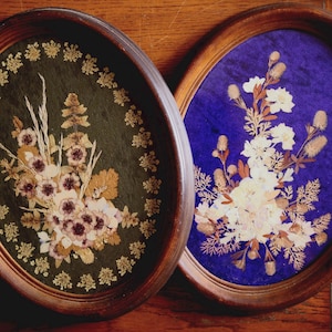Pressed Flower Wall Art, Vintage Oval Wood Frames Pair, Botanical Herbarium Velvet, Cottagecore Home Decor