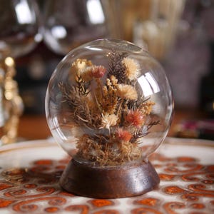 Op de afbeelding: Een bolvormige glazen stolp met een droogbloemstuk met beige, crème en roodbruine bloemen en donker loof. De stolp is gemonteerd op een ronde, donkerbruine houten voet, wat een op zichzelf staand botanisch decoratief object vormt.
