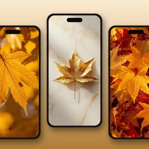 May include: Three smartphones displayed side-by-side, each featuring a distinct autumn-themed wallpaper. The left screen shows a single golden maple leaf, the center screen displays a metallic gold leaf on marble, and the right screen shows many maple leaves.