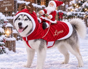 Fantasia de Natal personalizada para cães, roupa de Papai Noel personalizada com nome para seu pet, roupa divertida de Natal para cães, adereço para fotos de Natal, presente para amantes de cães