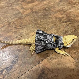 May include: A yellow bearded dragon wearing a black and white paisley patterned harness with a pleated skirt attachment. The harness features adjustable black straps and a small metal ring for attachment, secured around the lizard's torso.