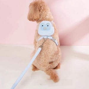 May include: A light blue pet harness featuring a small backpack attachment with a bear face design. The harness includes adjustable straps and a matching light blue leash attached to a metal D-ring, designed for a small animal to wear comfortably.