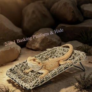 May include: A light tan bearded dragon resting on a rectangular, woven beige fibre basking platform with a black metal frame. The platform is labelled with the text 2-in-1 Basking Platform & Hide, featuring a mesh surface for climbing.