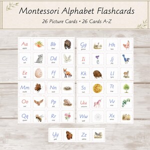 May include: A set of Montessori Alphabet Flashcards featuring 26 picture cards and 26 cards with letters A-Z. Each card displays a letter in red or blue ink alongside a watercolor illustration of an animal, plant, or object corresponding to the letter.