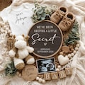 Pregnancy Announcement Digital Baby Announcement Gender Neutral Social Media Reveal Keeping a Secret Gender netural Editable canva Template product logo