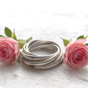 May include: A silver Russian wedding ring consisting of three interlocking bands, positioned between two soft pink roses with green leaves. The metallic surface of the ring reflects light, showing a smooth, polished finish and a circular shape.
