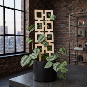 Wood Plant Trellis for Climbing Houseplants, Pothos and Hoya Support, Birch Plywood Plant Stake, Mini Indoor Pot Trellis Plant Lover Gift