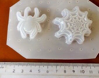 Spider and Web Mould