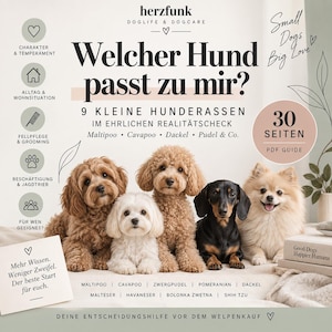 Welcher Hund passt zu mir? Rasse Guide für Ersthundebesitzer | Maltipoo, Cavapoo, Dackel, Pudel & kleine Hunderassen | PDF