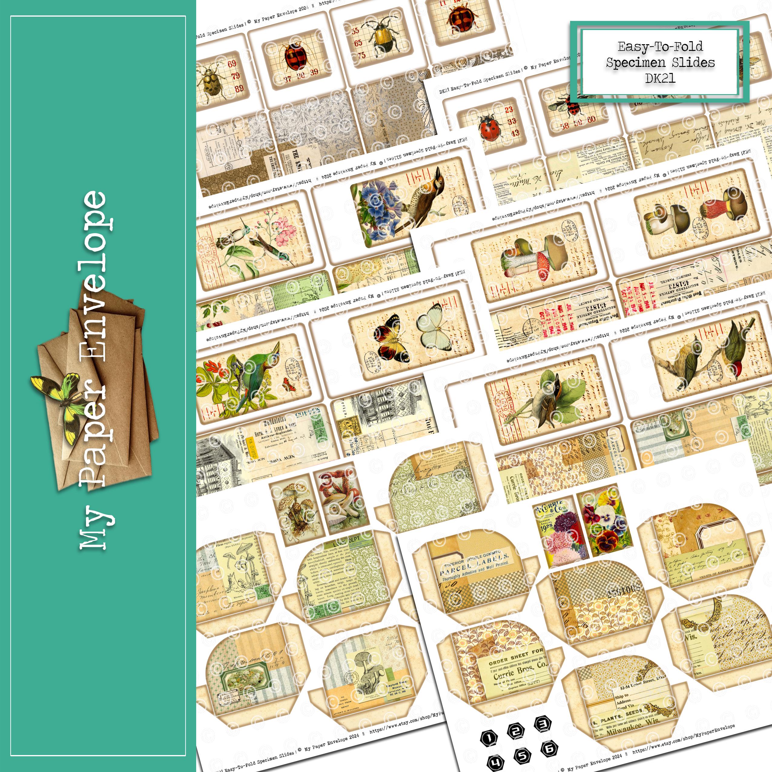 DK21 Easy-to-fold Nature Specimen Slides - Etsy