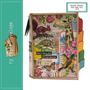 May include: A handmade naturalist storybook with a collage design. The cover features a giraffe, squirrel, chameleon, and birds, along with floral and butterfly illustrations. The book has a multi-colored tabbed edge and the text "Naturalist Storybook".
