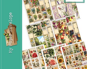 DK30 Envelope Boxes