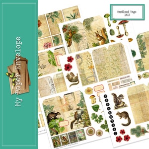 May include: A set of printable woodland themed tags featuring images of squirrels, mushrooms, flowers, and leaves. The tags are in various sizes and shapes and have a vintage aesthetic. The text "Woodland Tags DK05" is at the top of the page.