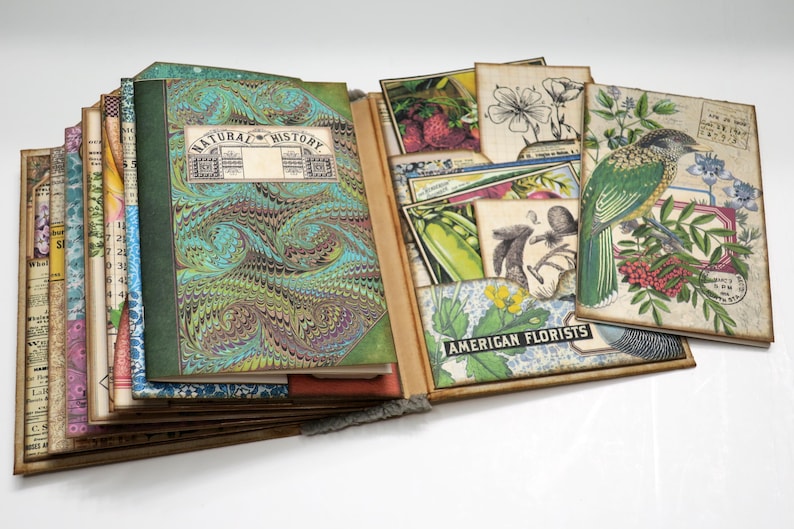 Op de afbeelding: Een vintage-stijl scrapbook met een groene en blauwe marmeren omslag. De omslag heeft de tekst "Natural History" erop gedrukt. Het scrapbook is open om pagina's te laten zien die vol staan met botanische illustraties en ephemera. De pagina's zijn versierd met bloemen, vogels en andere natuurlijke elementen. Het scrapbook is een unieke en mooie manier om herinneringen te documenteren en de schoonheid van de natuur te vieren.