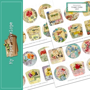 DK08 Botanical Shaped Slides