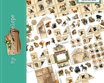 DK52 Animal ABC Cubes, Cards and More