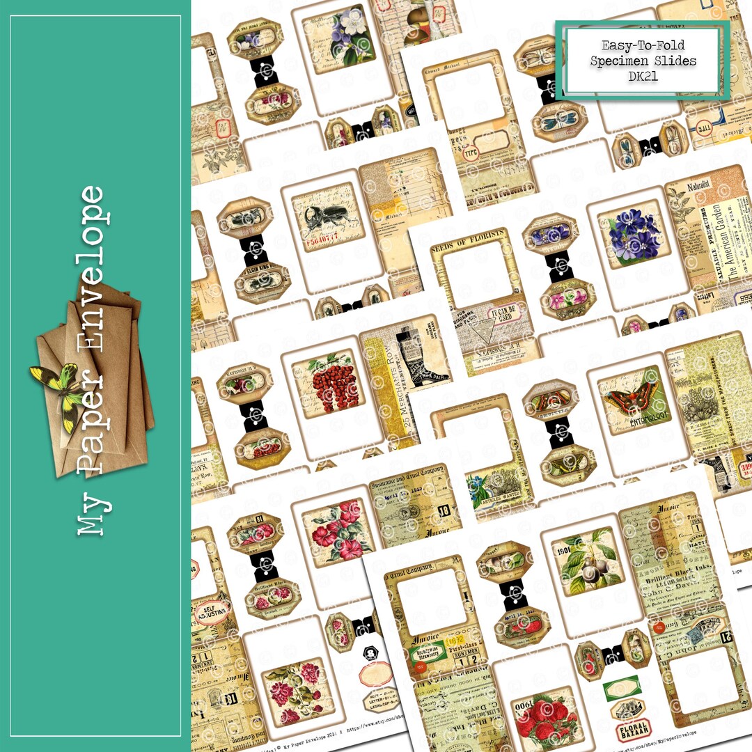 DK21 Easy-to-fold Nature Specimen Slides - Etsy