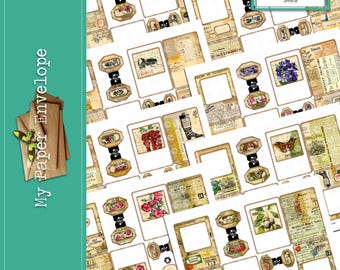 DK21 Easy-To-Fold Nature Specimen Slides