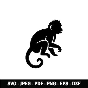 Può includere: Una silhouette nera di una scimmia in posizione seduta con la coda arricciata verso il basso. Sotto la grafica, il testo recita SVG - JPEG - PDF - PNG - EPS - DXF in un carattere sans-serif in grassetto, indicando i formati file.