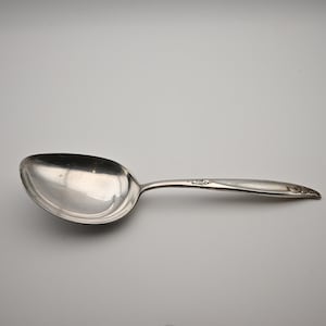 May include: A silver-toned serving spoon with a wide, oval-shaped bowl and a tapered handle. The handle features a subtle, embossed floral or scroll-like decorative pattern near the neck and at the tip, with a polished, reflective metallic finish.